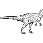 Desenho de Alossauro Pré Histórico para Colorir e Download 150×150