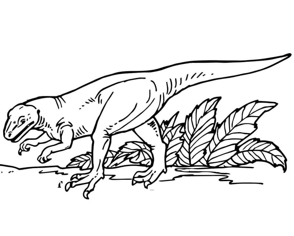 Desenho de Dinossauro Alossauro para Crianças para Colorir e Pintar