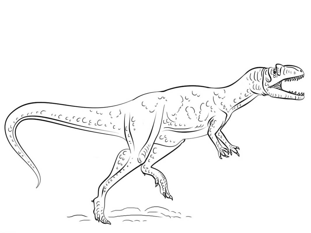 Desenho Allosaurus para Colorir e Pintar