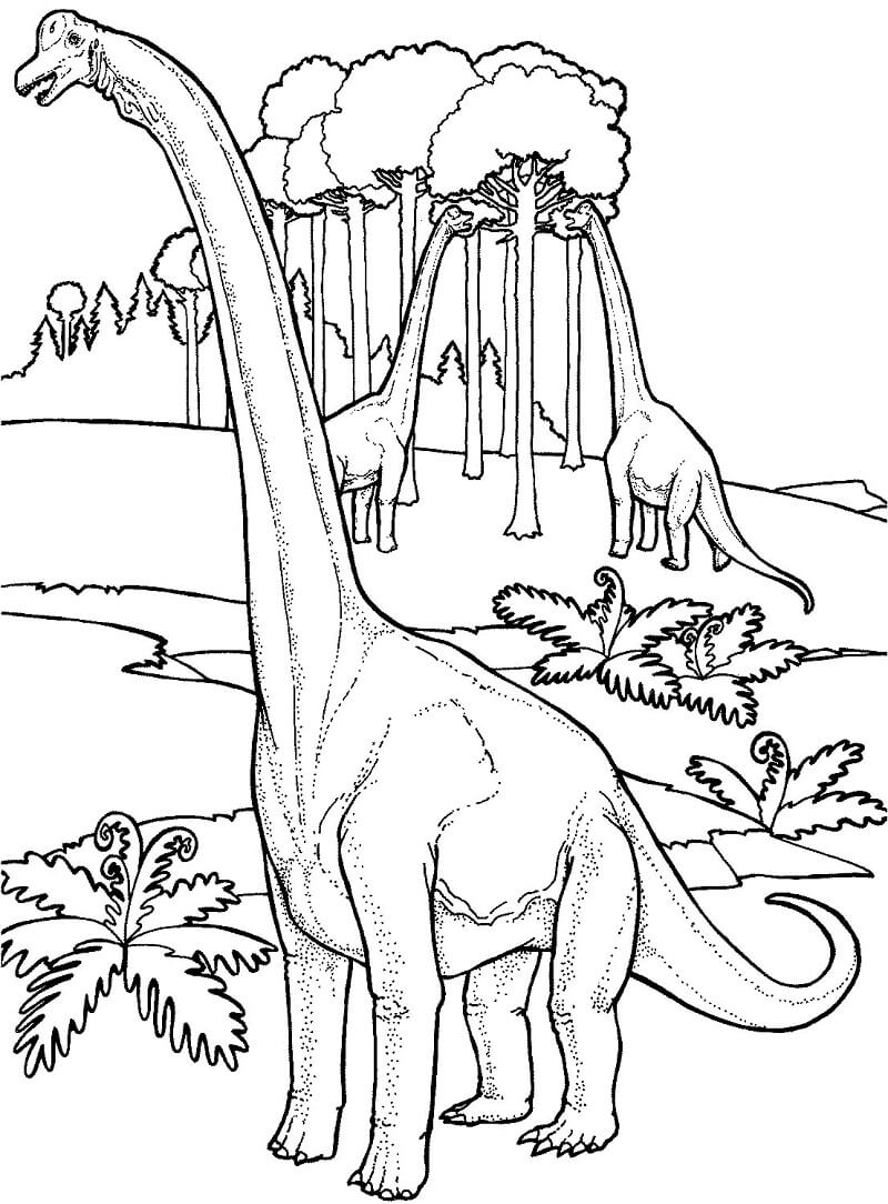 Desenho Brachiosaurus para Colorir e Pintar