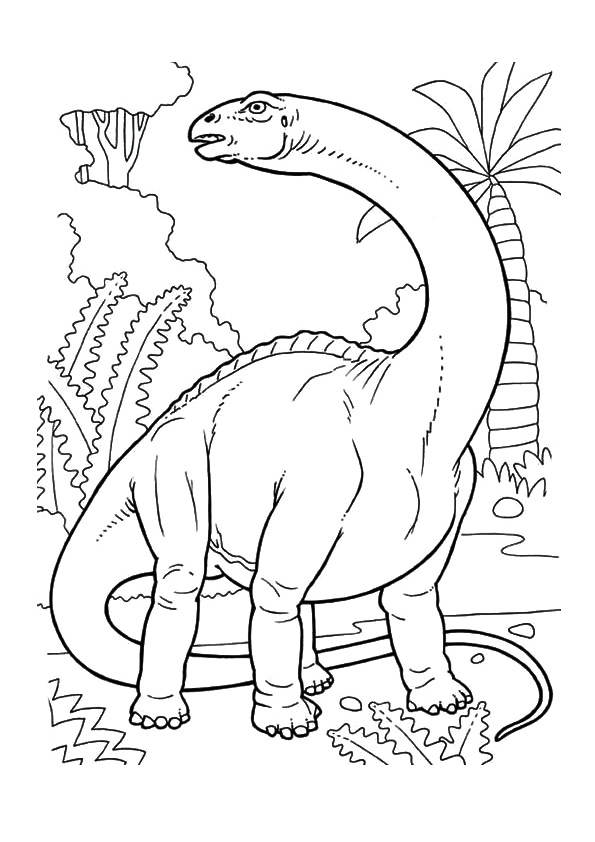 Desenho de Dinossauro Catrak A4 para Colorir e Pintar