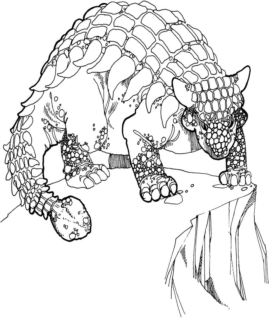 Desenho Dinossauro Anquilossauro para Colorir e Pintar