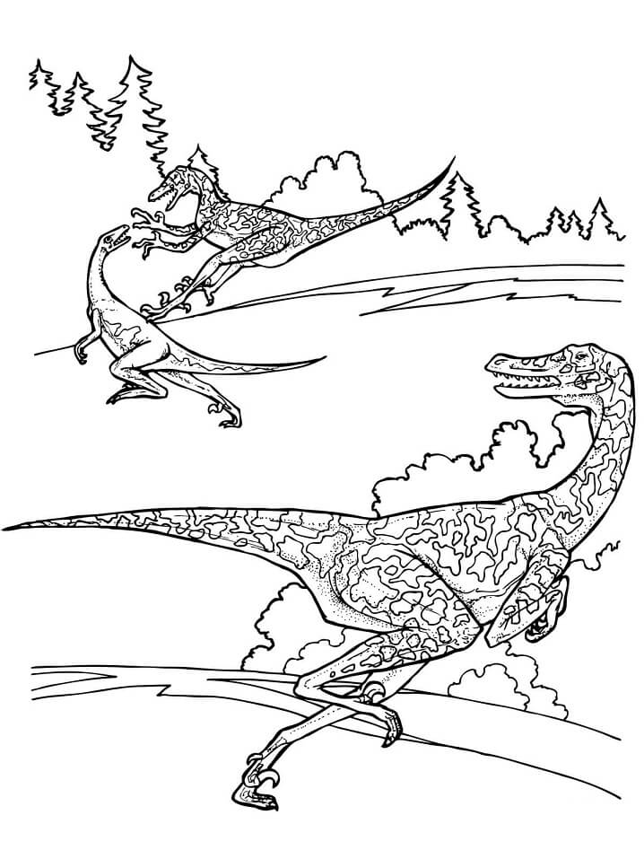 Desenho Dinossauro Velociraptor para Colorir 6 e Pintar