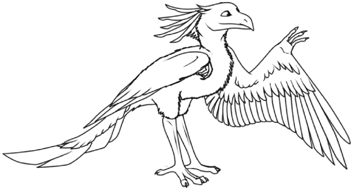 Desenho Imprimivel de Dinossauro Archaeopteryx A4 para Pintar com Giz