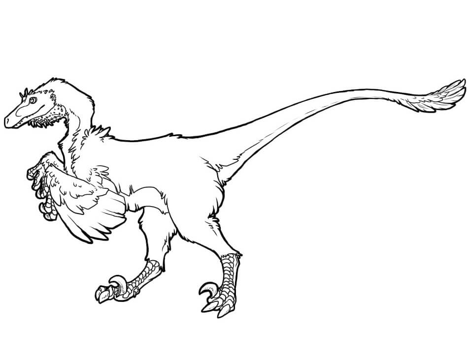 Desenho Raptor Dinossauro para Colorir e Pintar