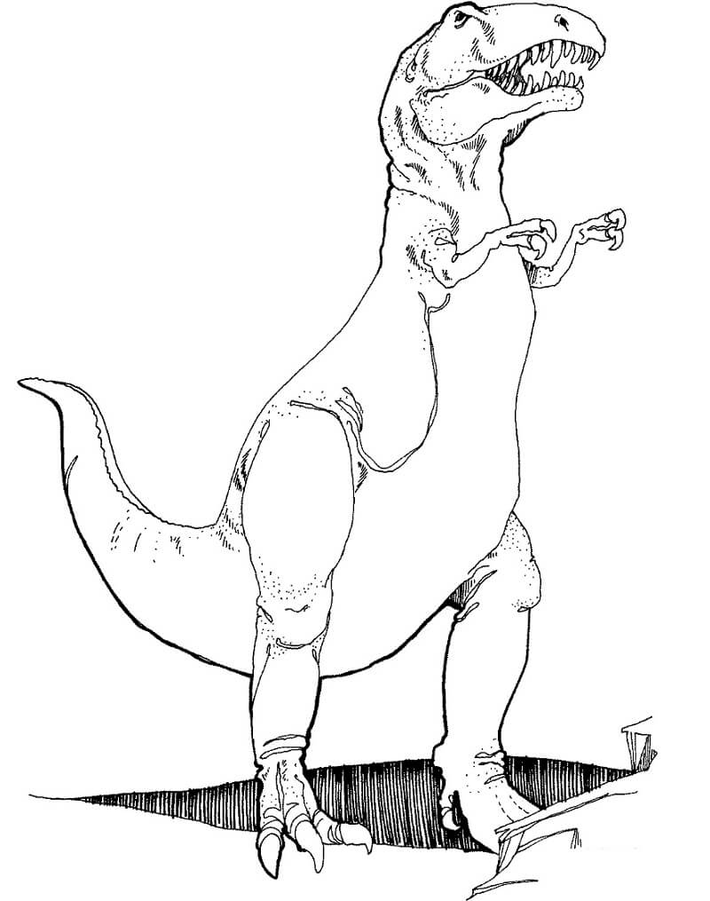Desenho Tiranossauro para Colorir e Pintar
