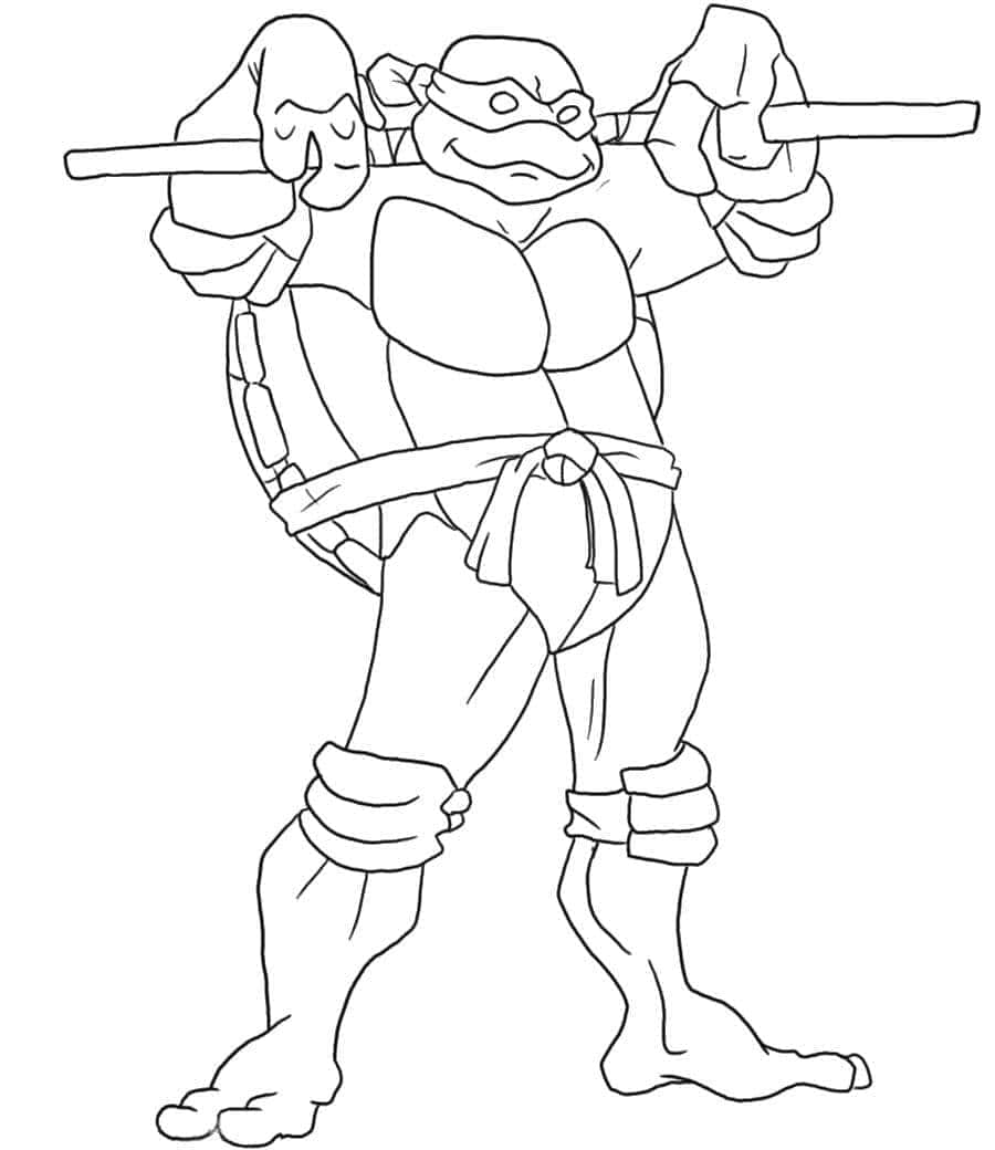 Desenho de Donatello Tartarugas Ninja Feliz para Colorir e Pintar