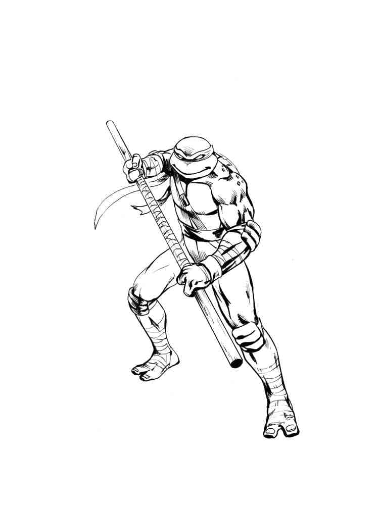 Desenho de Donatello Tartarugas Ninja Imprimivel para Colorir e Pintar
