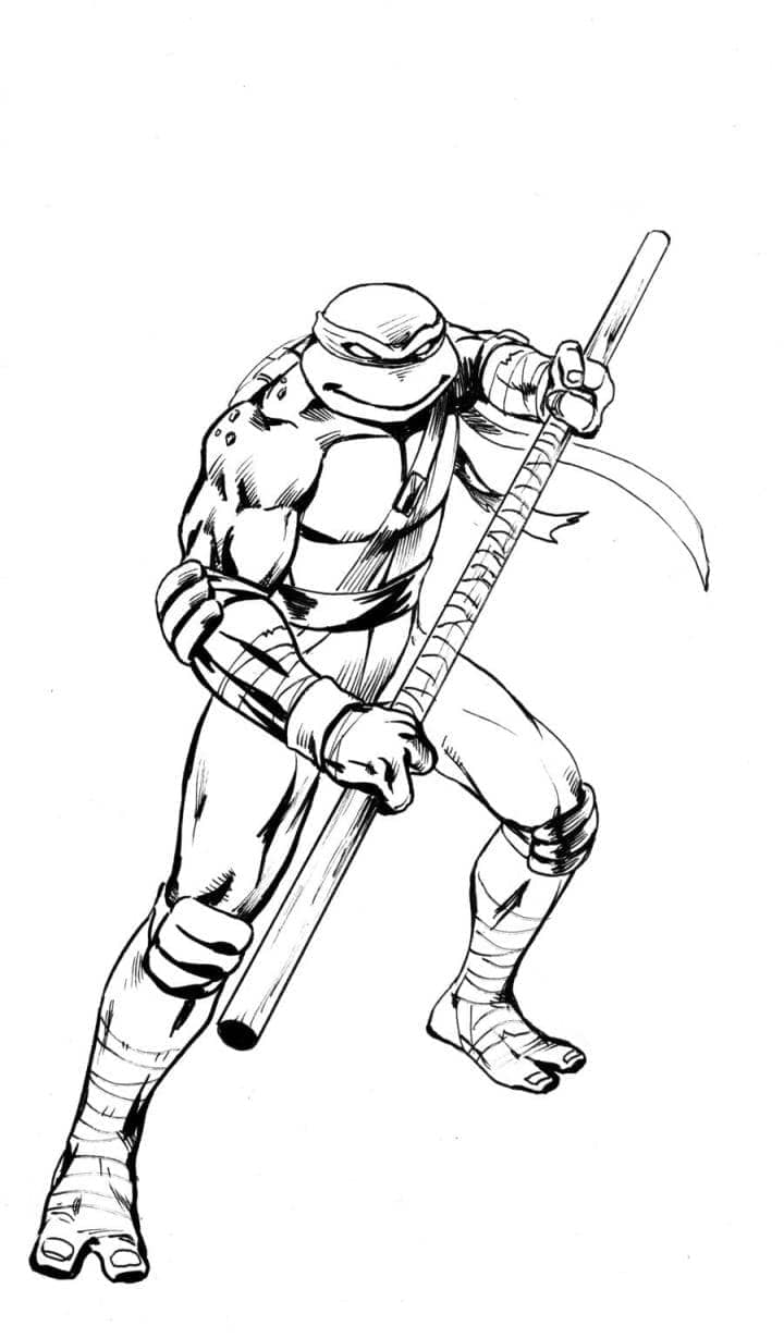 Desenho de Donatello Tartarugas Ninja para Imprimir Lápis de Cor e Pintar