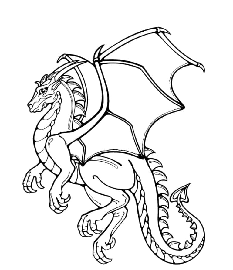 Desenho de Dragão Incrível para Colorir e Pintar