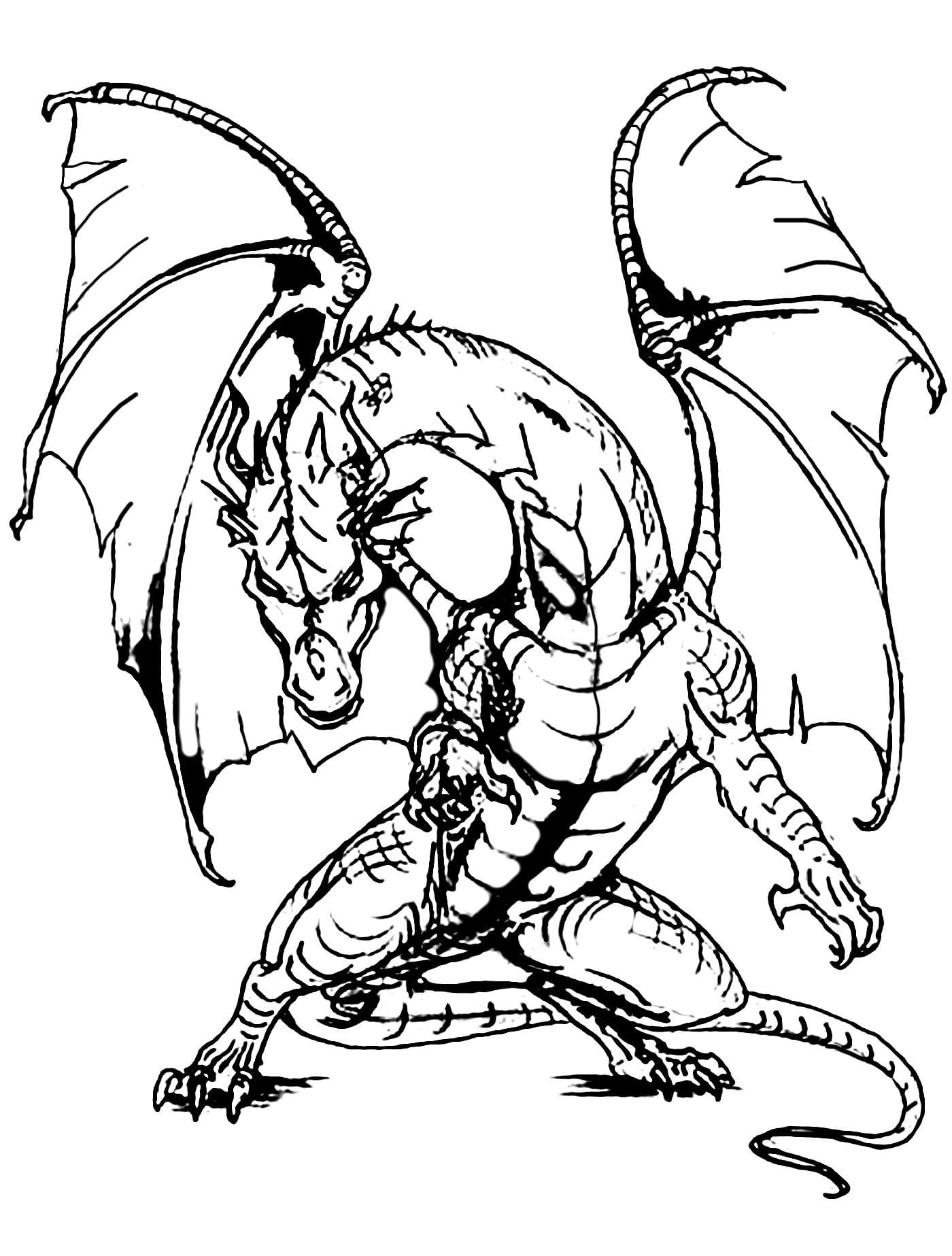 Desenho de Dragão Irritado para Colorir e Pintar