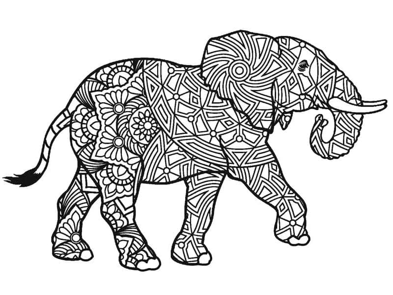 Desenho de Elefante Zentangle para Colorir e Pintar