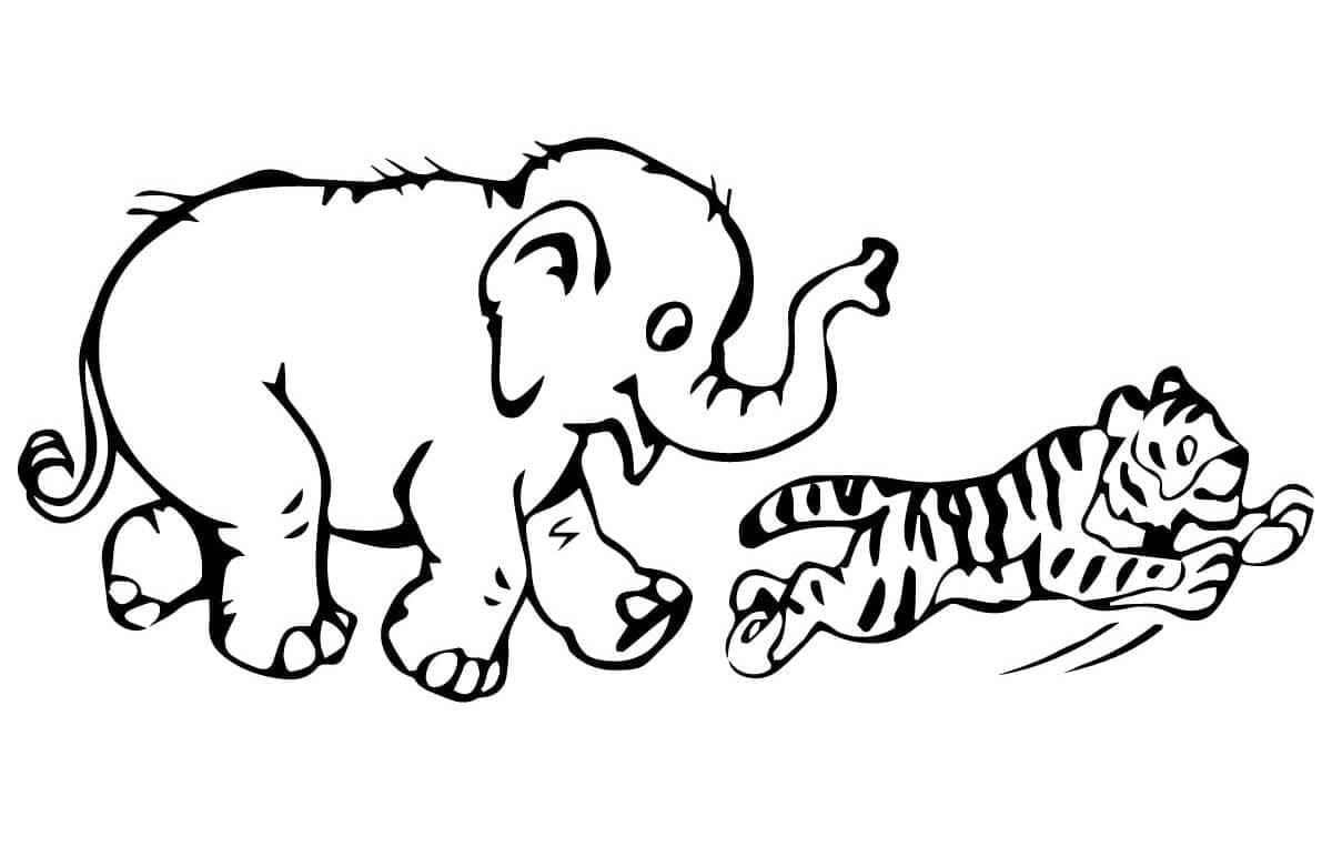 Desenho de Elefante e Tigre para Colorir e Pintar