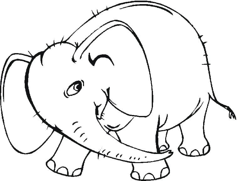 Desenho de o Elefante para Colorir e Pintar