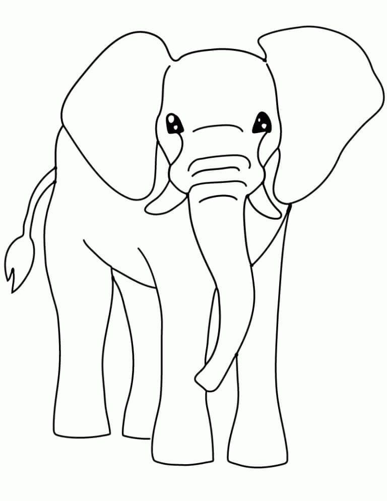 Desenho de um Elefante Fácil para Colorir e Pintar