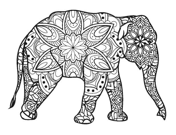 Desenho de um Elefante Zentangle para Colorir e Pintar