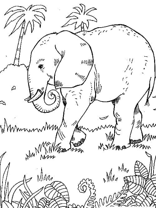 Desenho de um Elefante na Selva para Colorir e Pintar