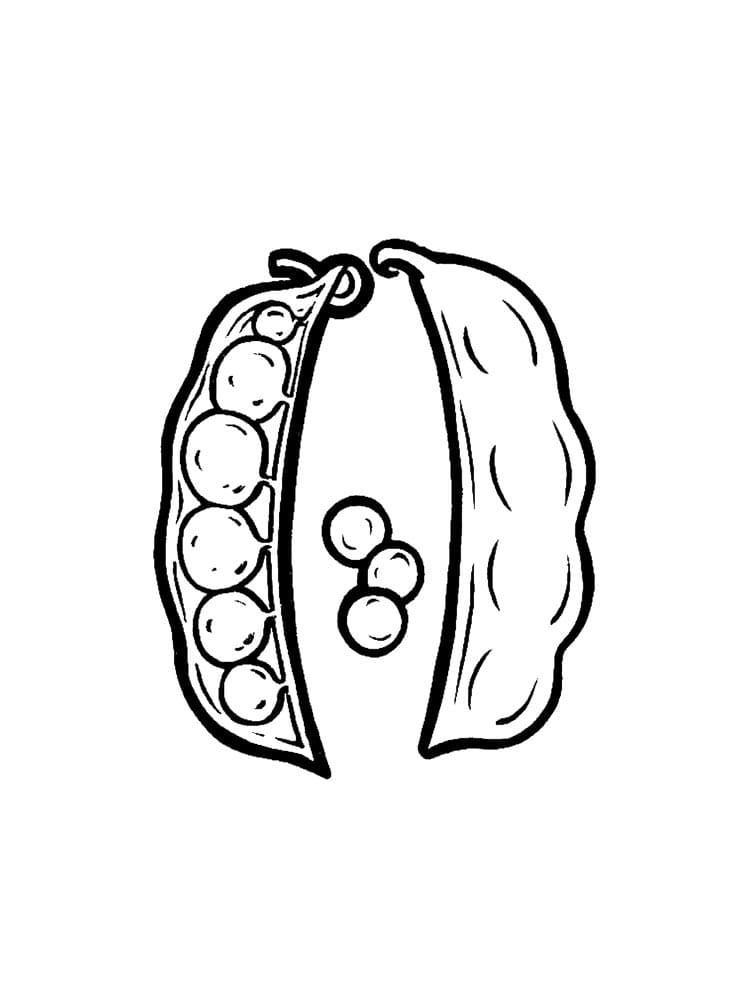 Desenho de Duas Vagens de Ervilhas para Colorir e Pintar