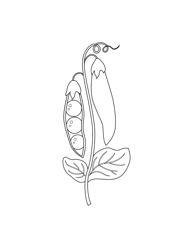 Desenho de Ervilha Imprimivel Download e Pintar