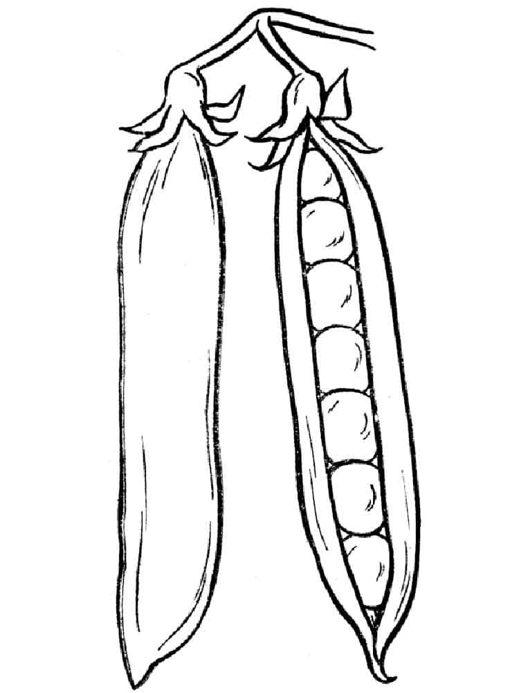Desenho de Ervilha para Colorir Pdf e Pintar