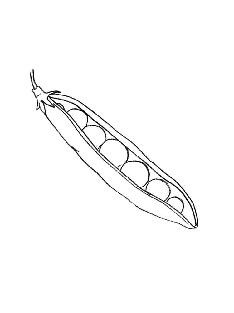 Desenho de Ervilha para Imprimir Lápis de Cor e Pintar
