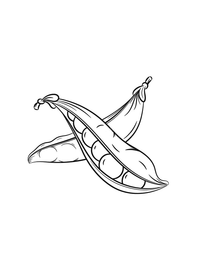 Desenho de Ervilha Simples para Imprimir Lápis de Cor e Pintar