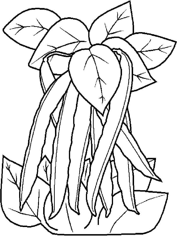 Desenho de Ervilhas e Folhas para Colorir e Pintar