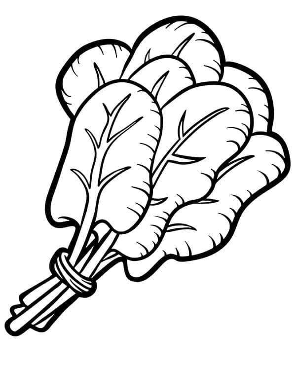 Desenho de Espinafre Fofo para Colorir Pdf e Pintar