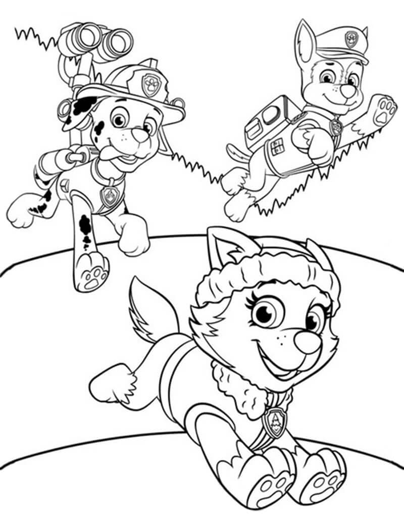 Desenho de Everest Marshall e Chase para Colorir e Pintar