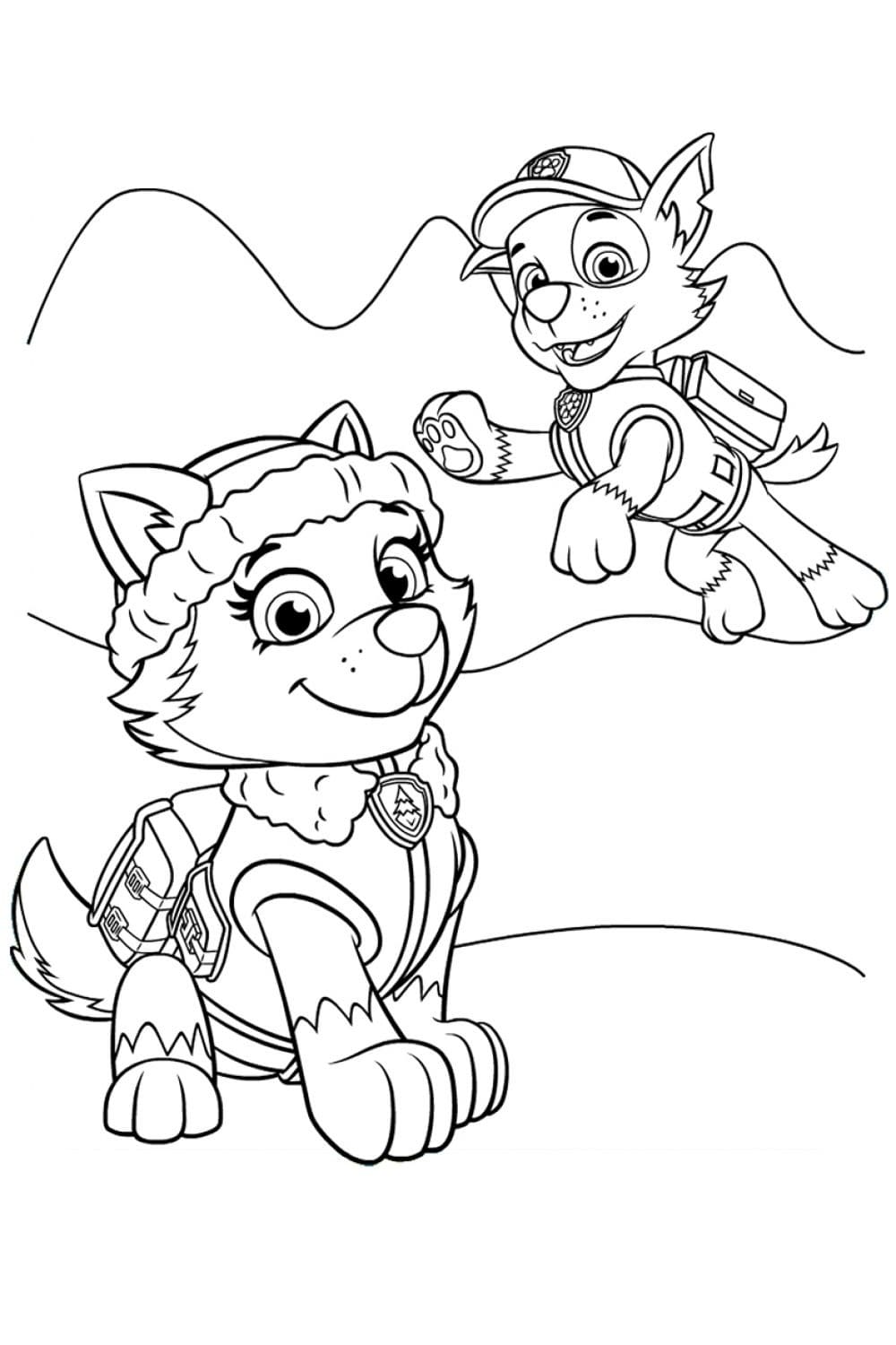 Desenho Everest e Rocky para Colorir e Pintar