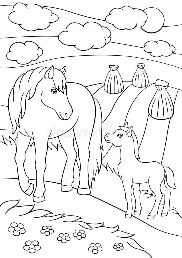 Desenho Cavalinho para Colorir e Pintar