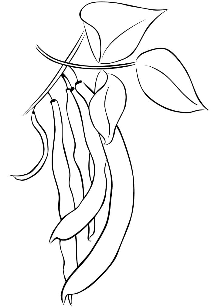 Desenho Feijões para Colorir e Pintar