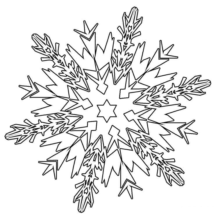 Desenho de Lindo Floco de Neve para Colorir e Pintar