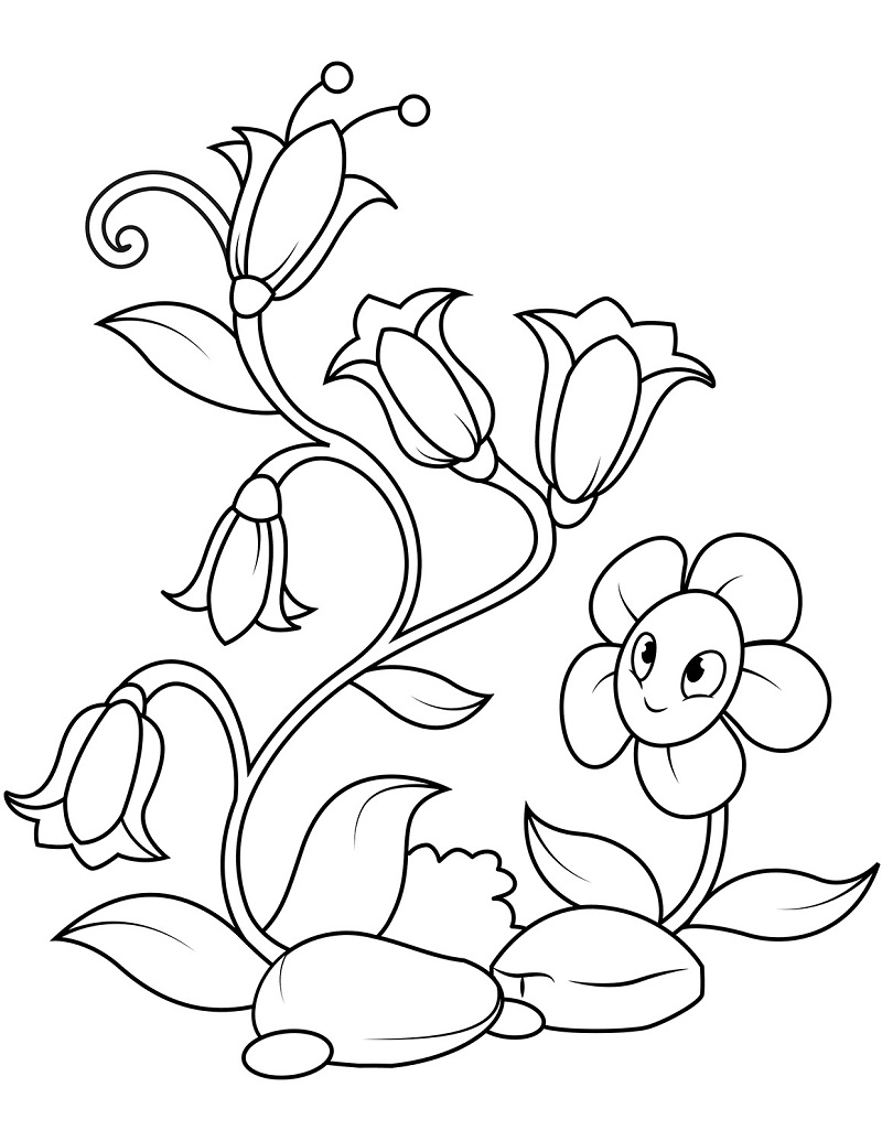 Desenho de Flor Campânula Download para Colorir e Pintar