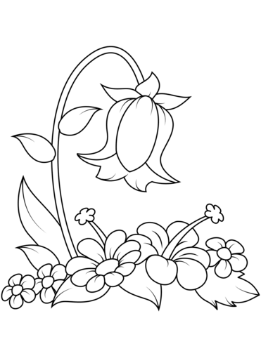 Desenho de Flor Campânula Pdf para Colorir e Pintar