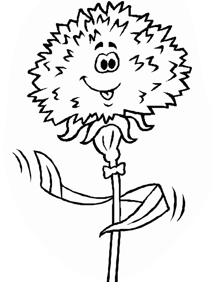 Desenhos de Flor Carnation para Colorir