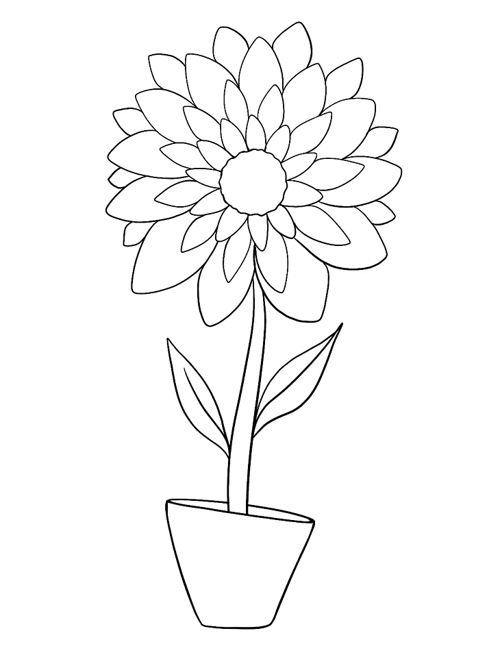 Desenho de Flor Dália em Vaso Imprimivel Download e Pintar