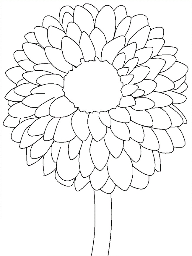 Desenho de Flor Dália Grande para Colorir Pdf e Pintar