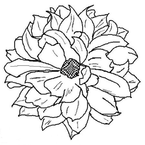 Desenho de Flor Dália na Primavera para Imprimir e Pintar