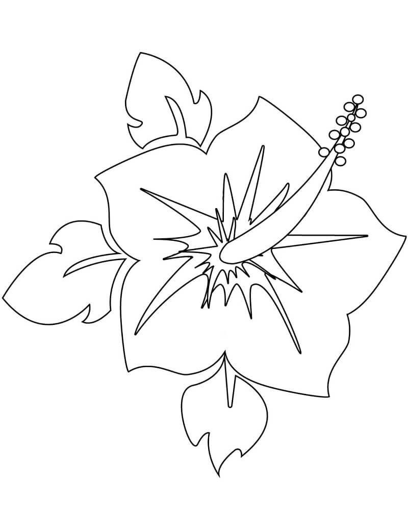Desenho de Hibisco para Colorir Online e Pintar
