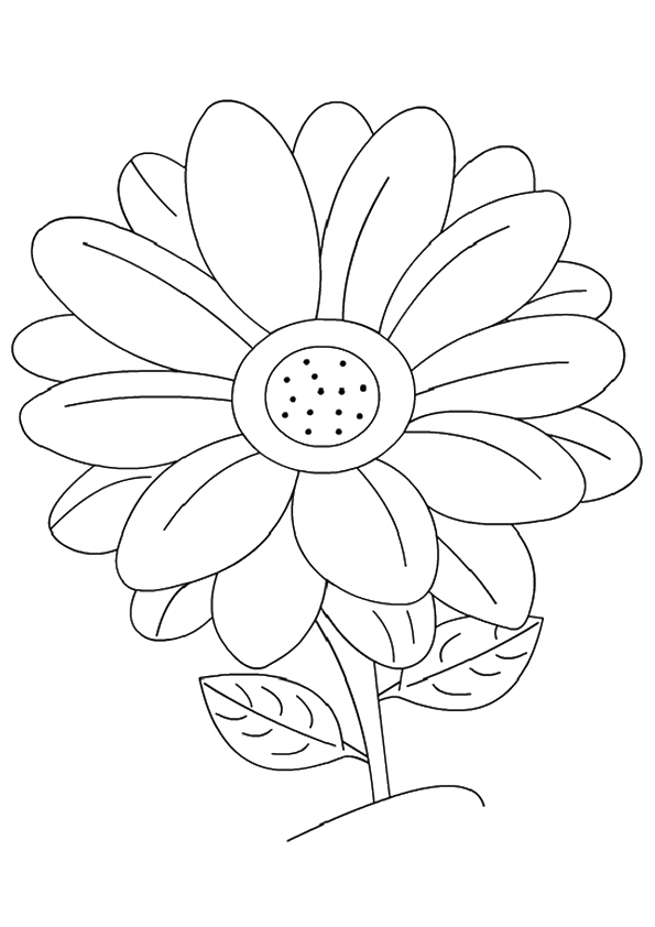 1528164907 The Daisy A4 e Pintar
