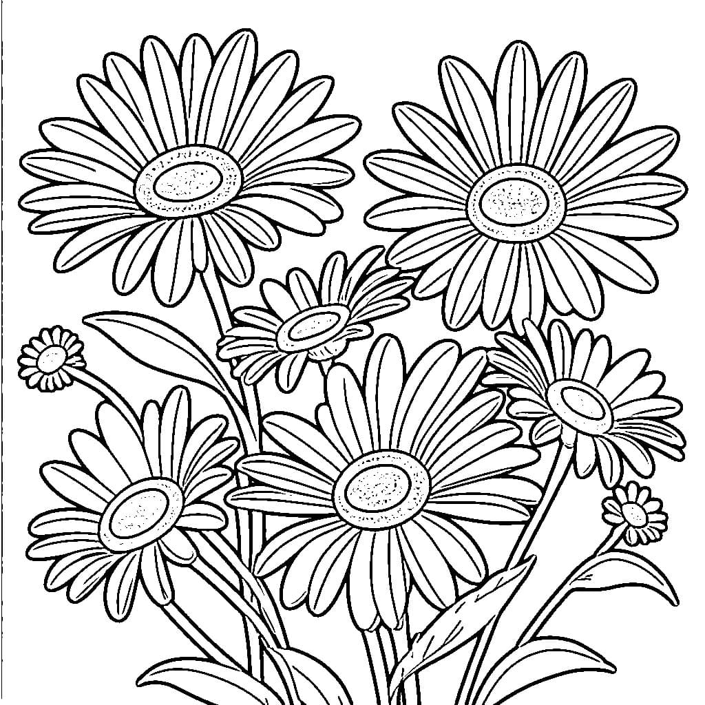 Desenho de Contorno de Margarida para Colorir e Pintar