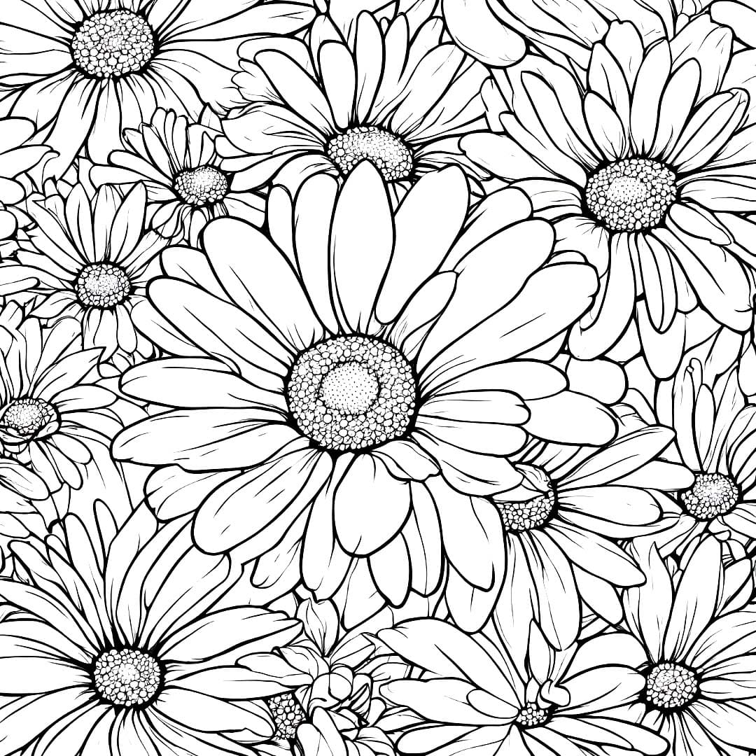 Desenho de Fundo de Margarida para Colorir e Pintar