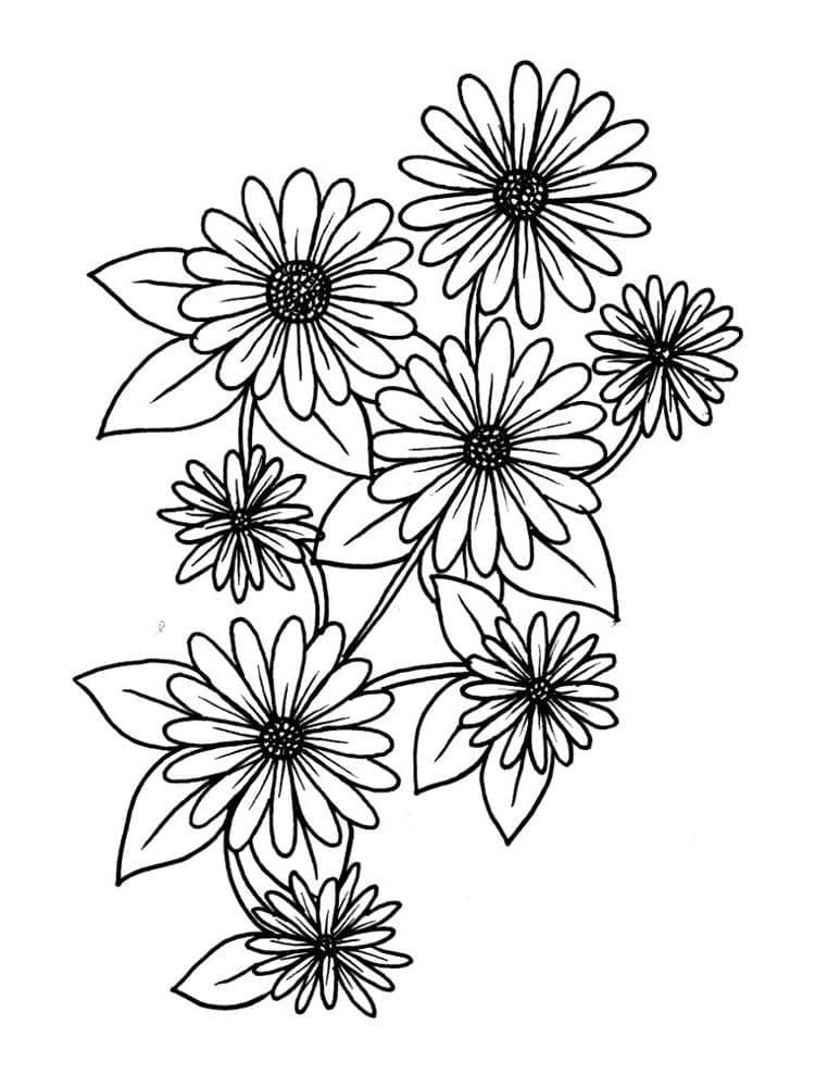 Desenho de Margaridas Incríveis para Colorir e Pintar