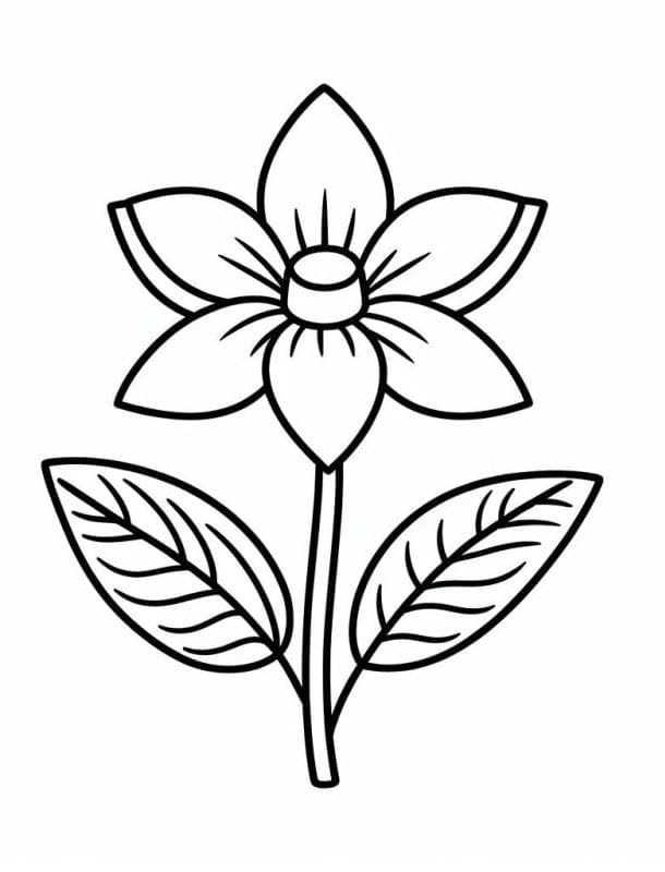 Desenho de Flor Bonita para Colorir e Pintar