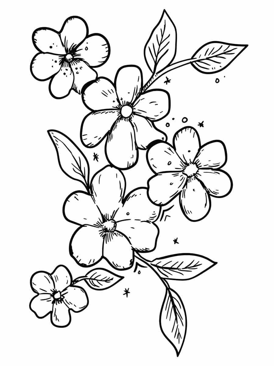 Desenho de Flores Grátis para Crianças para Colorir e Pintar