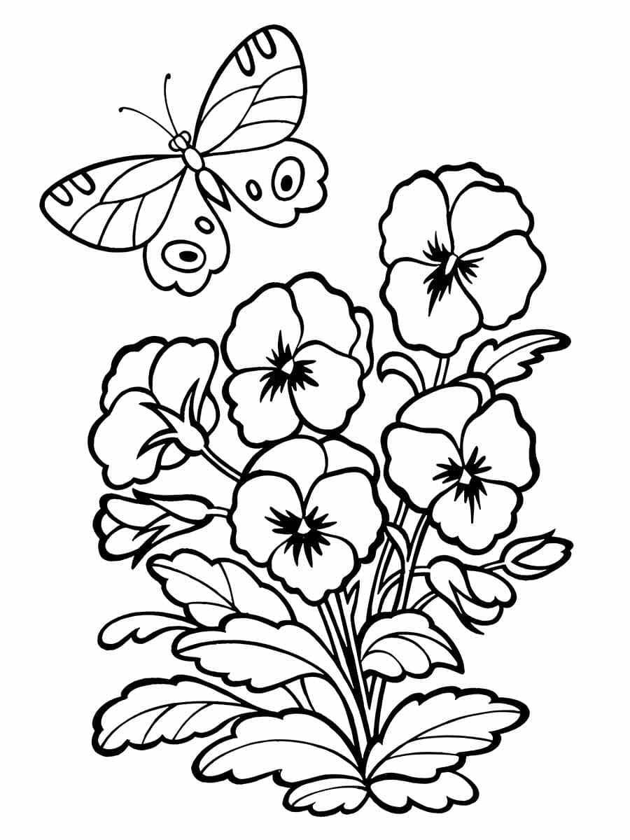 Desenho de Flores e uma Borboleta para Colorir e Pintar