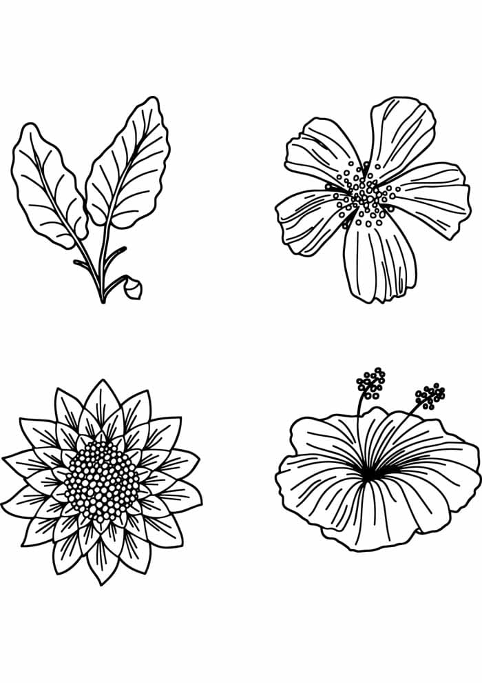 Desenho de Quatro Flores para Colorir e Pintar