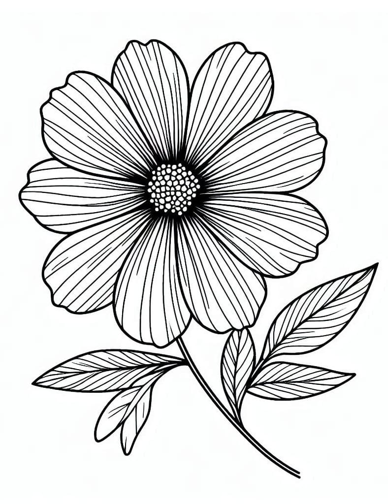 Desenho de uma Flor Bonita para Colorir e Pintar
