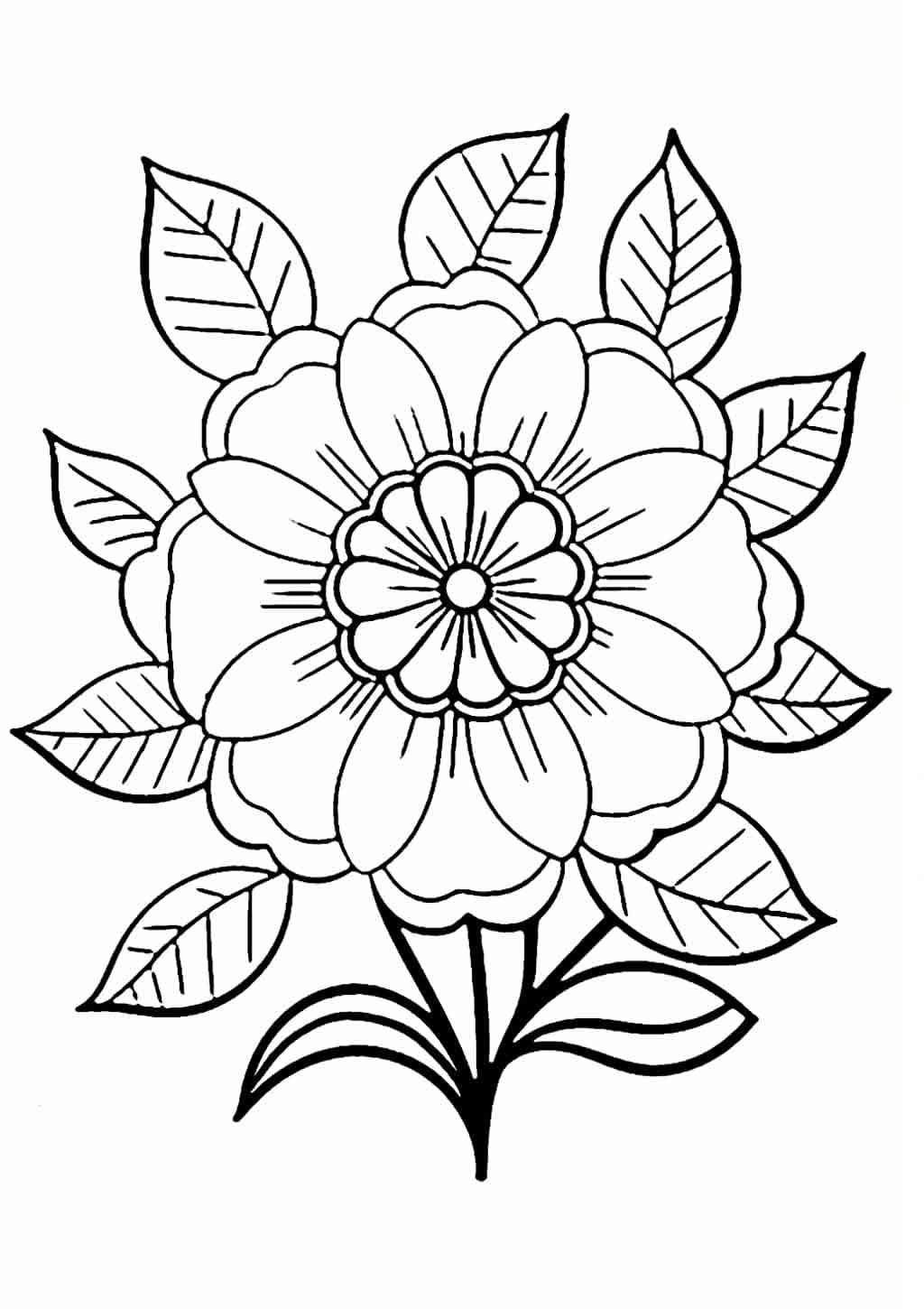 Desenho de uma Flor Muito Bonita para Colorir e Pintar